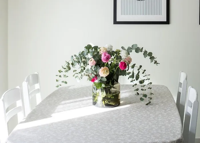 Stanza Palmis The Urban Retreat Split